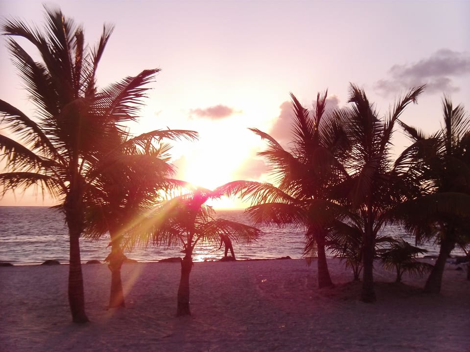 Strand bei Sonnenaufgang Villas Bavaro Resort & Spa