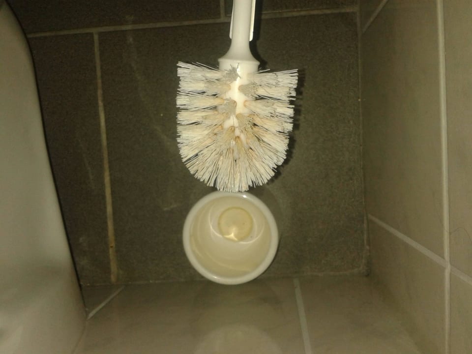 Die Toilettenbürste hat die beste Zeit hinter sich Hotel Morgensonne