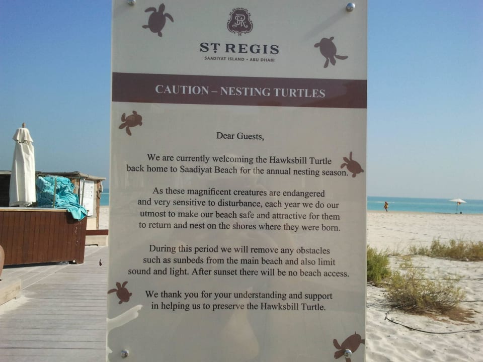 Info Schildkröten The St. Regis Saadiyat Island Resort, Abu Dhabi