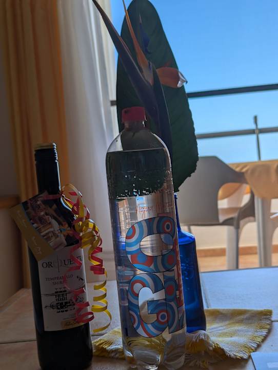 Zimmer Marina Playa Suite Hotel