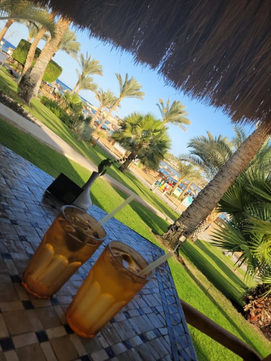 Gastro Steigenberger Coraya Beach - Adults only