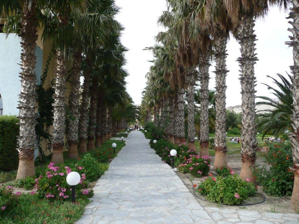 Vom Strand zum Hotel Porto Bello Beach