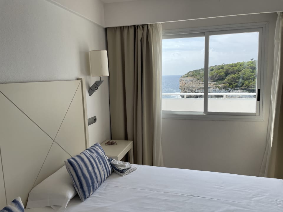 Zimmer blau punta reina