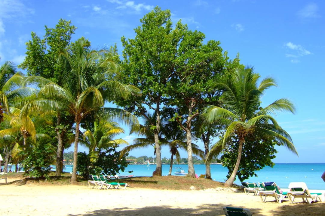 Hier strandeten wir! Hotel Riu Palace Tropical Bay
