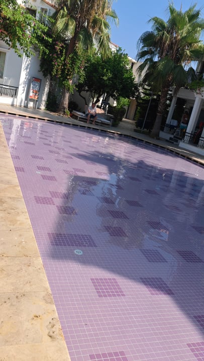 Pool Selectum Family Comfort Side