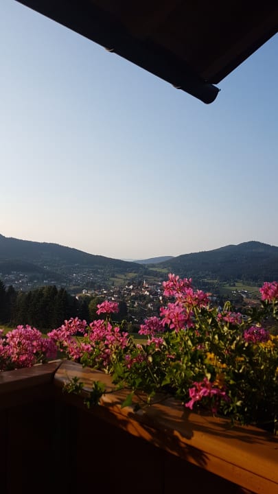 Ausblick Pension Haus Sonnenfels