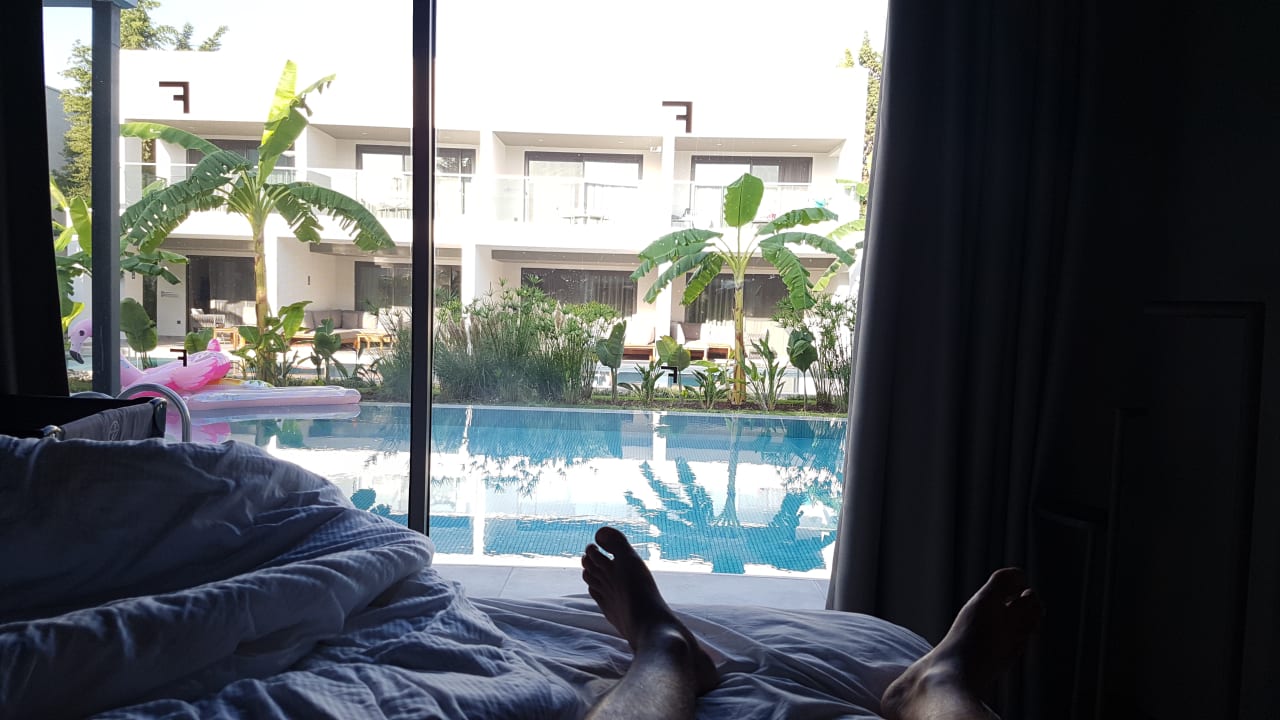 Zimmer Paloma Finesse