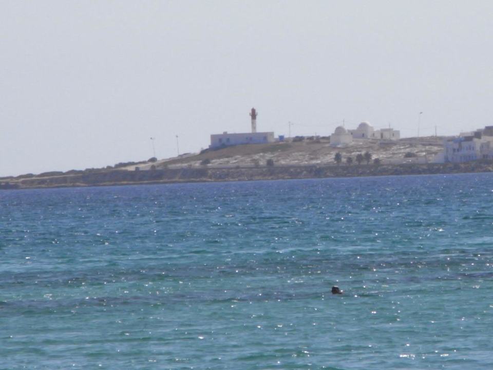 Strand im Hintergrund Madhia El Mehdi Beach Resort