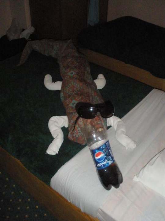 Jaszczurka Hotel Tutotel