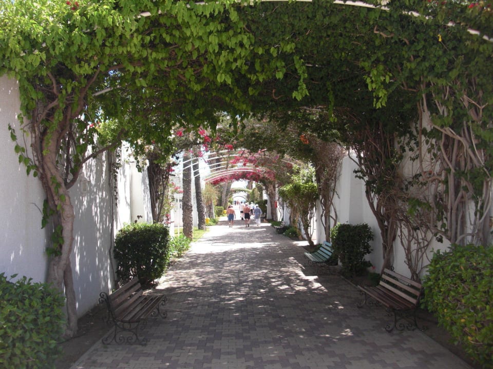 Weg zum Strand El Mouradi Club Kantaoui