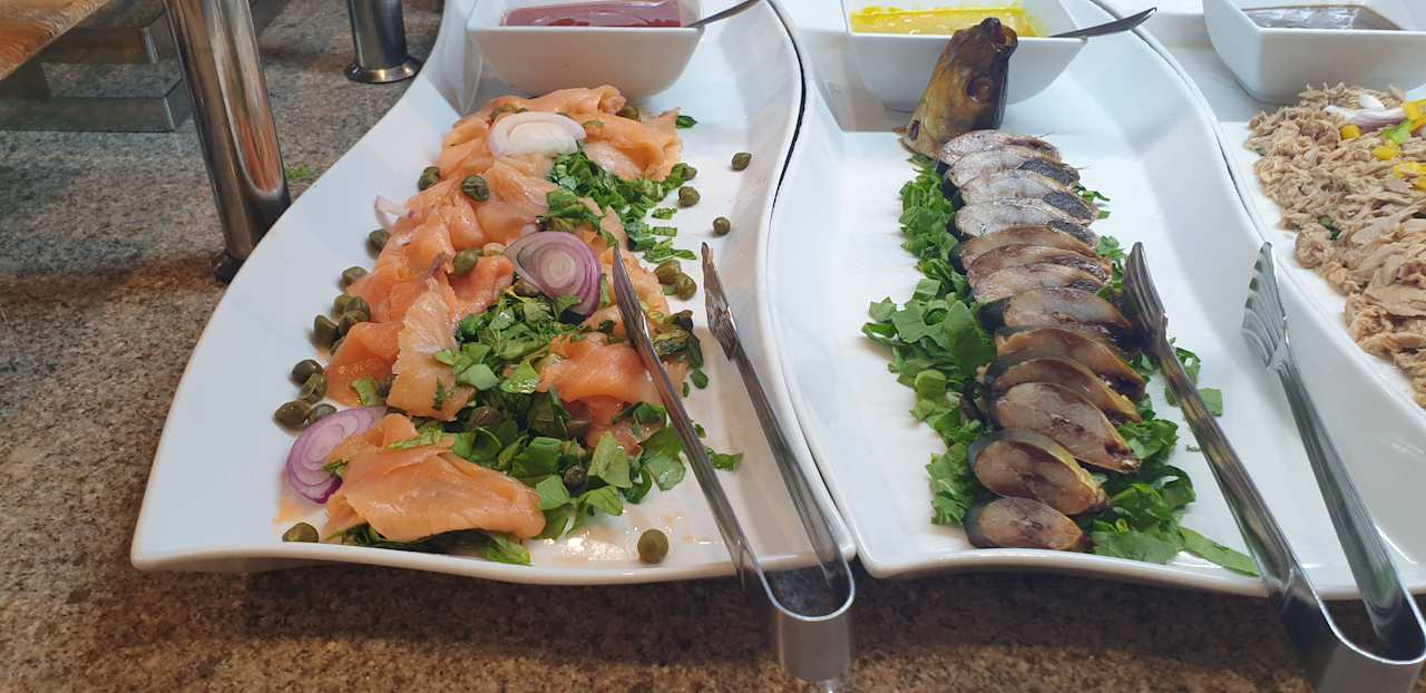 Gastro JAZ Elite Asteria