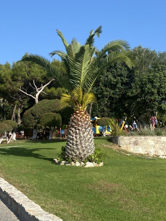 Gartenanlage Hotel Kalithea Horizon Royal