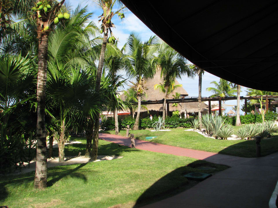 Ausblick vom "Totuga" Catalonia Playa Maroma