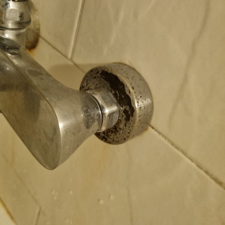 Zimmer Wyndham Alltra Samana