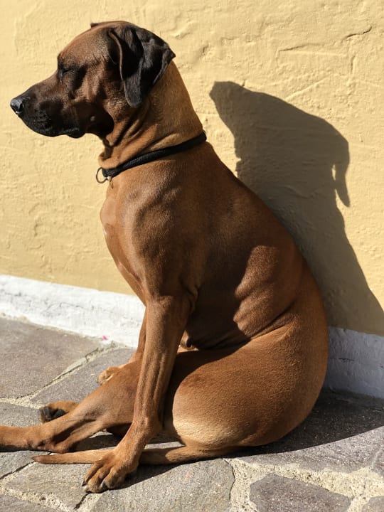 Außenansicht Parc Hotel Florian