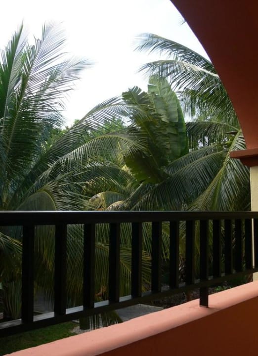 Blick vom Balkon Hotel Riu Tequila