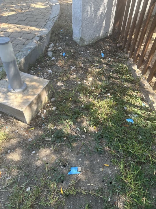 Pool TUI KIDS CLUB Alex Beach