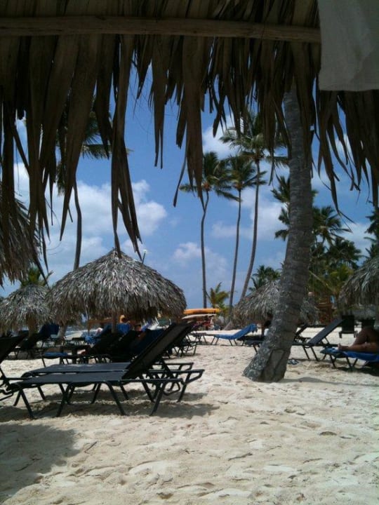 Von der Liege aus Dreams Royal Beach Punta Cana