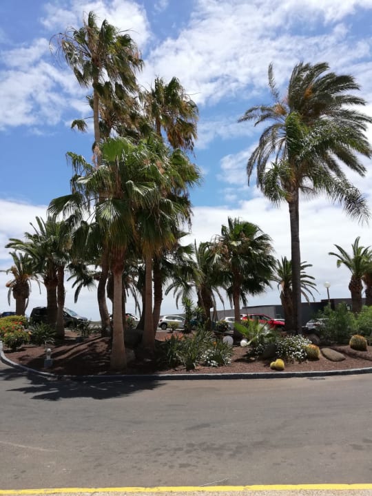 Gartenanlage allsun App.-Hotel Esquinzo Beach