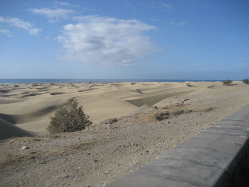 Dünen bei Playa del Ingles Hotel Riu Palace Palmeras