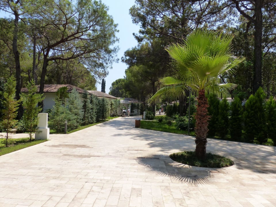 Bei den Bungalows Nirvana Mediterranean Excellence