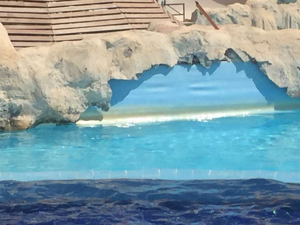 Pool Serenity Alpha Beach