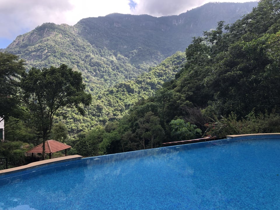Pool Kurumba Village Resort