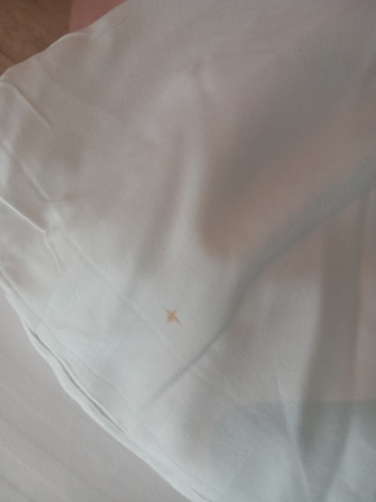 Zimmer Asterias Beach