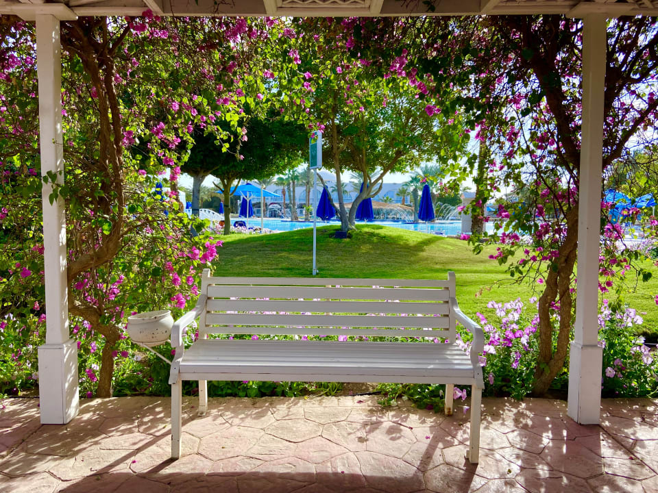 Gartenanlage Desert Rose