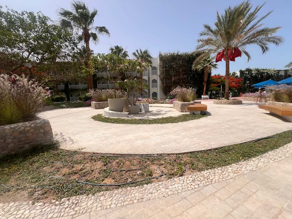 Gartenanlage Desert Rose