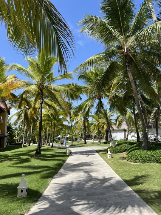 Gartenanlage Caribe Deluxe Princess