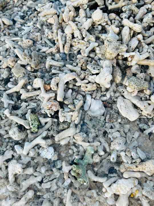 Strand Le Meridien Ile Maurice