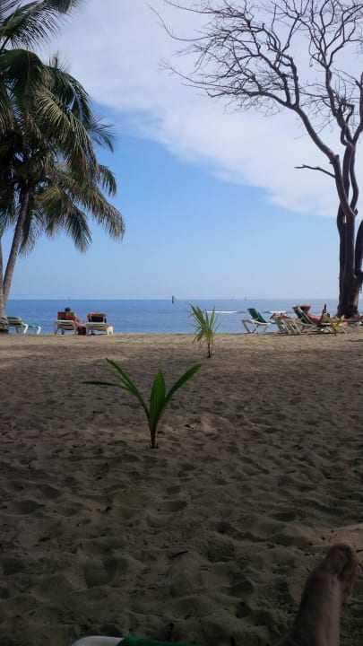 Ausblick am Strand Playabachata Hotel