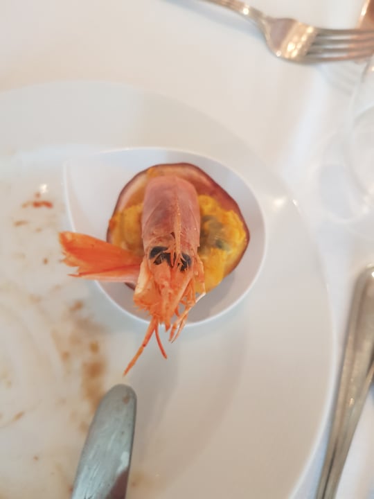 Gastro Lydia Maris Resort & Spa