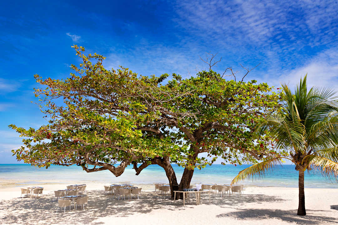 Gastro Bawe Island Zanzibar