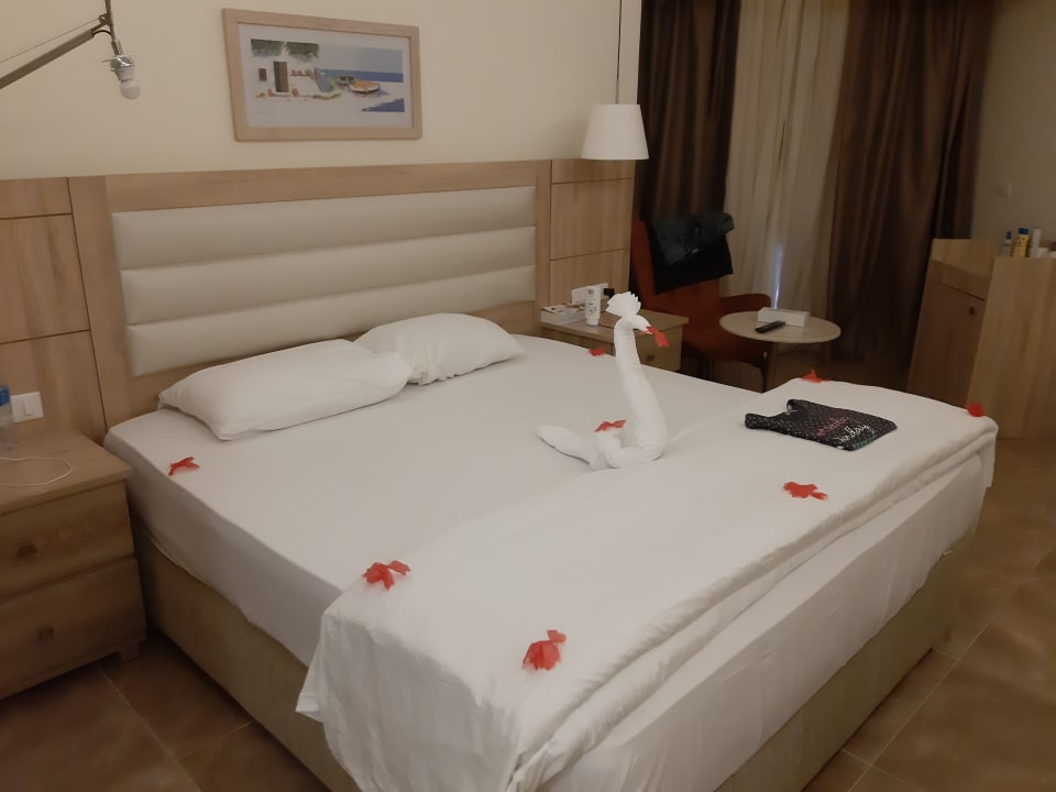 Zimmer Beach Albatros Resort