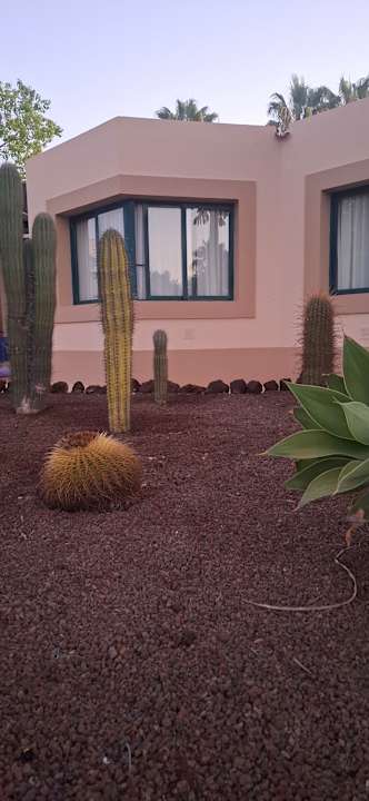 Gartenanlage allsun Hotel Esplendido