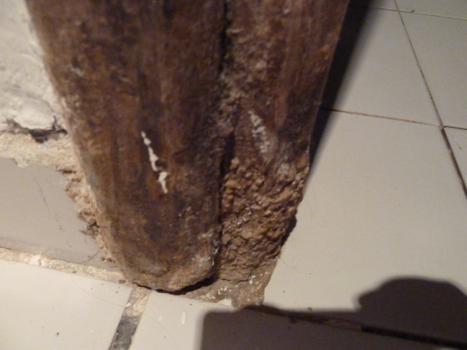 Badezimmertüre  Utopia Beach Club