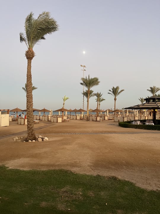 Strand Steigenberger ALDAU Beach Hotel