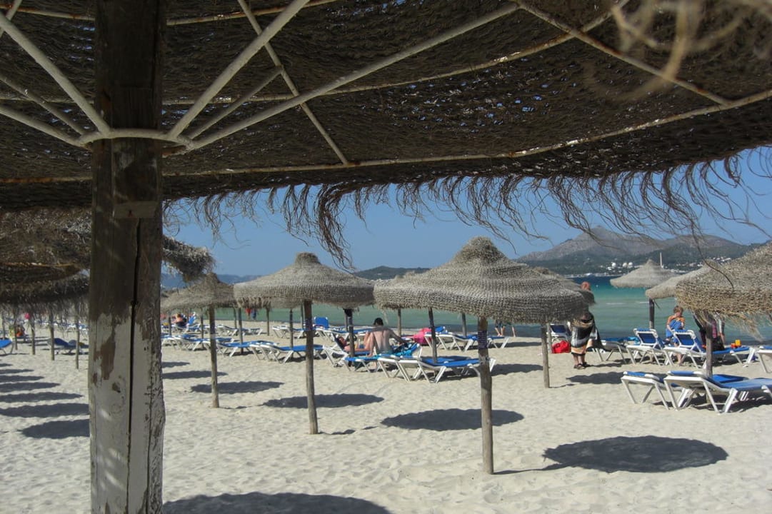 Strand 100m vom Hotel entfernt JS Alcudi Mar