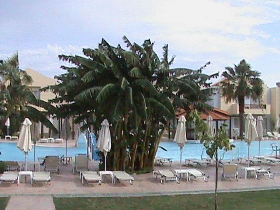 Pool Hotel Zorbas Beach