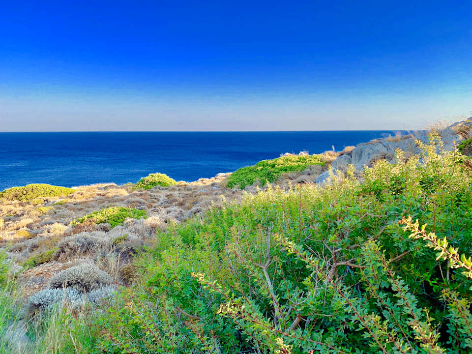 Ausblick Hotel Kalithea Horizon Royal