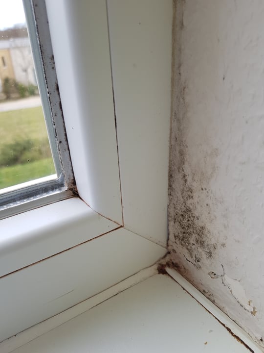 Zimmer Center Parcs Park Bostalsee