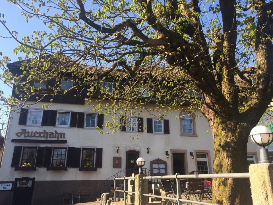Gemütlich mit alten Kastanien Hotel Gasthaus Auerhahn