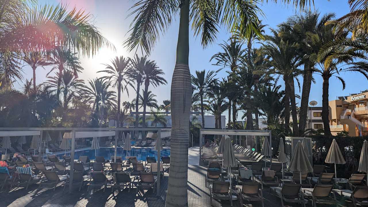 Pool Hotel Riu Palace Palmeras