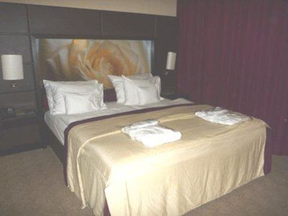 Traumbett Lindner Hotel Vienna Am Belvedere, part of JdV by Hyatt