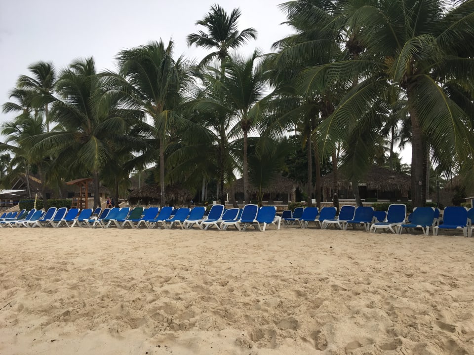 Strand Hotel Viva Dominicus Beach by Wyndham - All Inclusive Resort