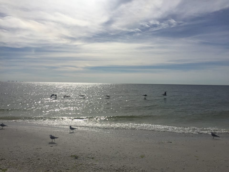 Strand Sanibel Island Beach Resort