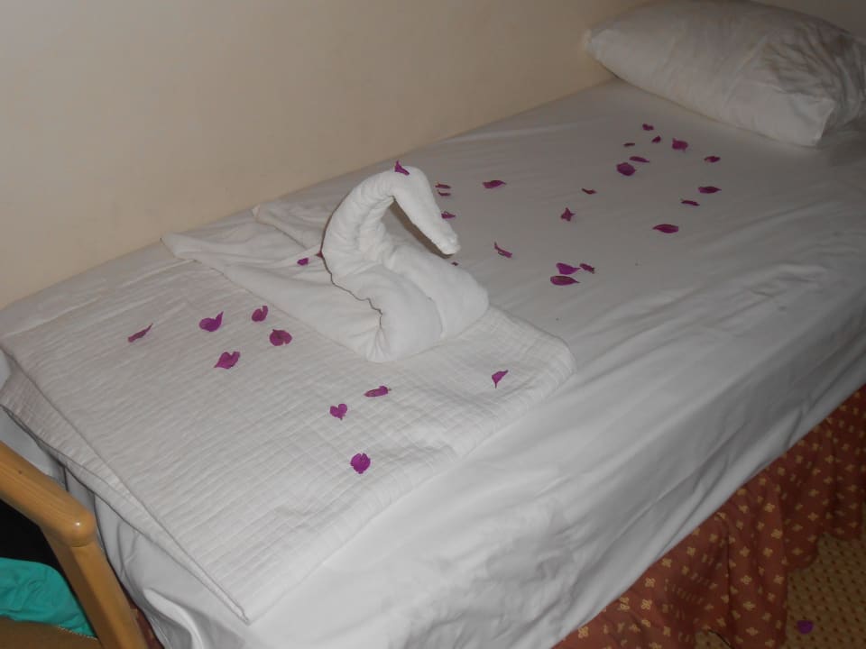 Jeden tag andere motive Saphir Hotel & Villas