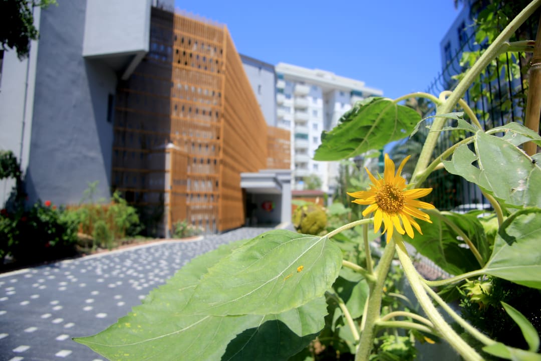 Gartenanlage Simply Fine Hotel Alize